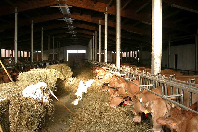 From Parma: Parmigiano Reggiano Farm Tour & Tasting with Transfer - The tasting: two ages, balsamic, honey, and wine