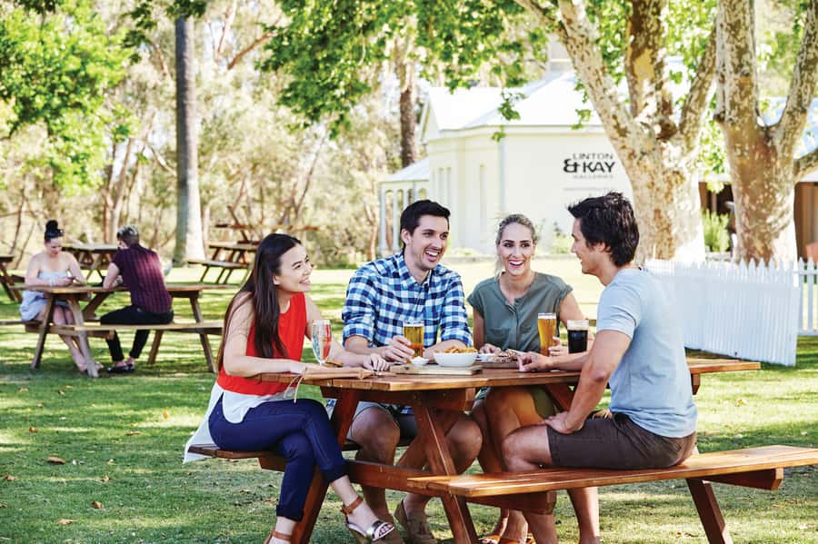 From Perth: Swan Valley Cruise, Winery, Cheese & Lunch - Should you book the Swan Valley wine cruise?