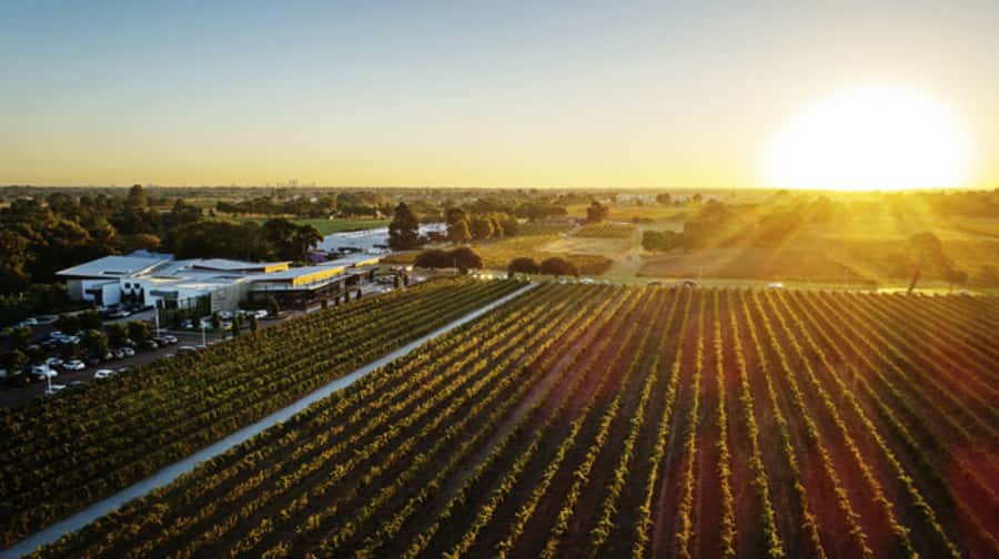 From Perth: Swan Valley Cruise, Winery, Cheese & Lunch - Morning tastings and the onboard lunch
