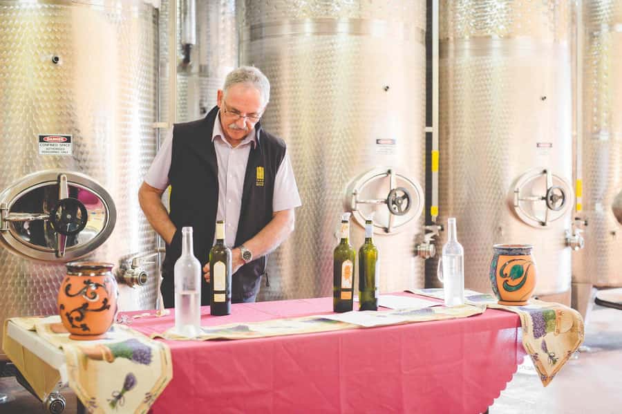 From Sydney: Award-Winning Hunter Valley Wine & Cheese Tour - Crossing the Harbour Bridge and heading north