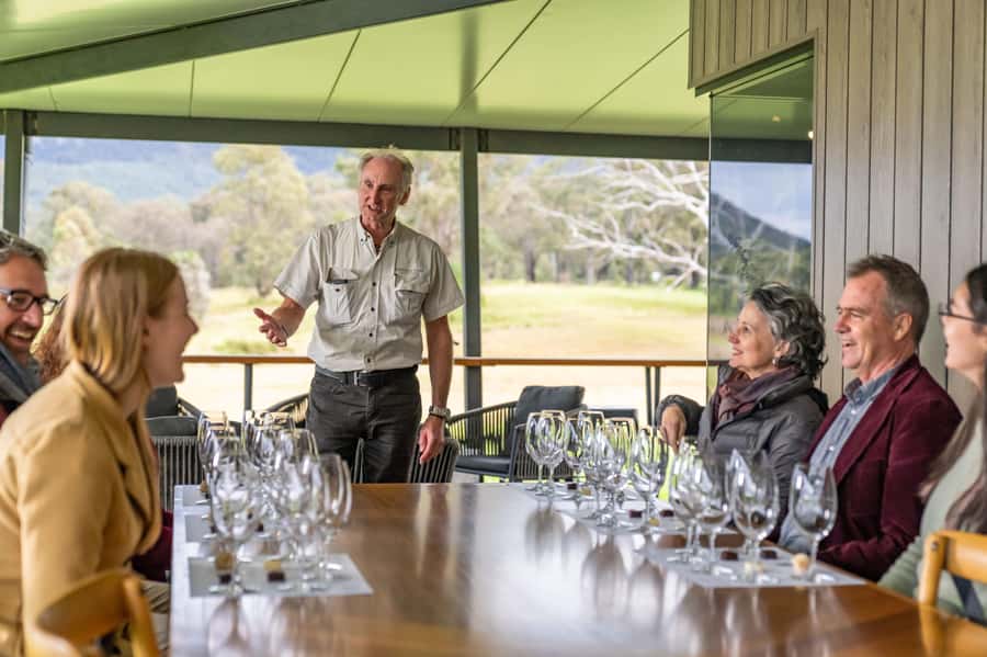 From Sydney: Award-Winning Hunter Valley Wine & Cheese Tour - Who should book this day trip?