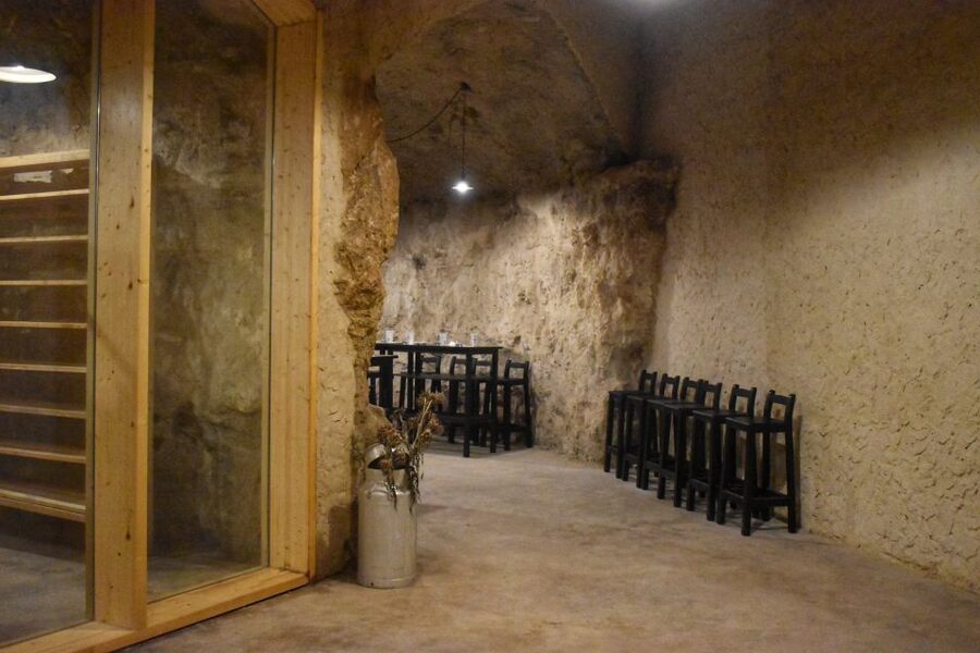 From Valencia: Guided Cheese Factory Tour with Wine Tasting - Who should book this experience