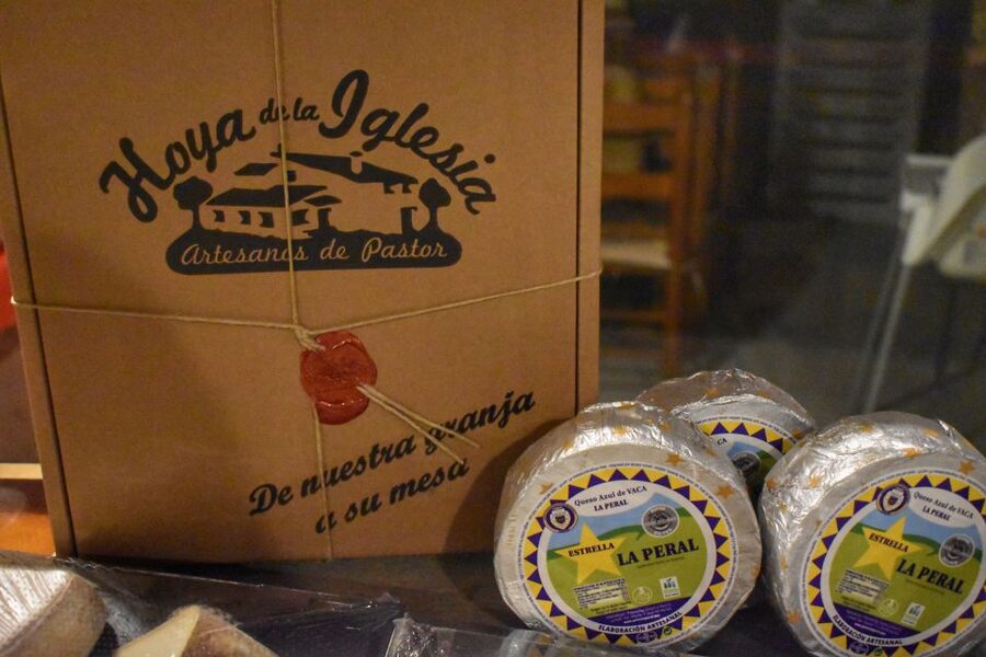 From Valencia: Guided Cheese Factory Tour with Wine Tasting - Making your own cheese in Pedrones