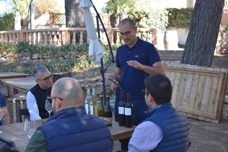 From Valencia: Guided Cheese Factory Tour with Wine Tasting - What the full seven hours are worth