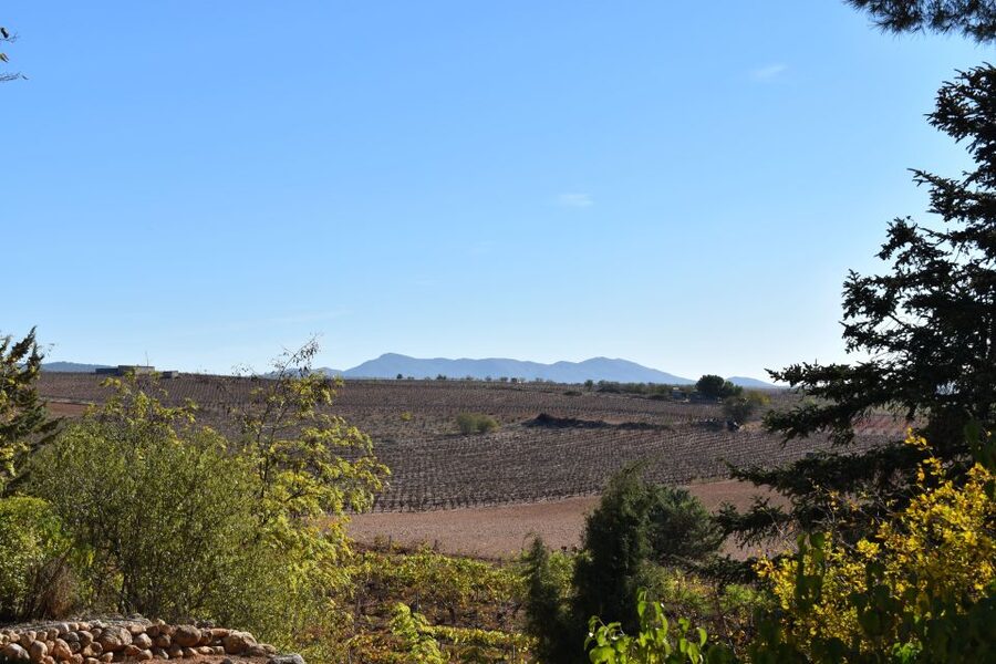 From Valencia: Guided Cheese Factory Tour with Wine Tasting - Group size, language, and practical comfort