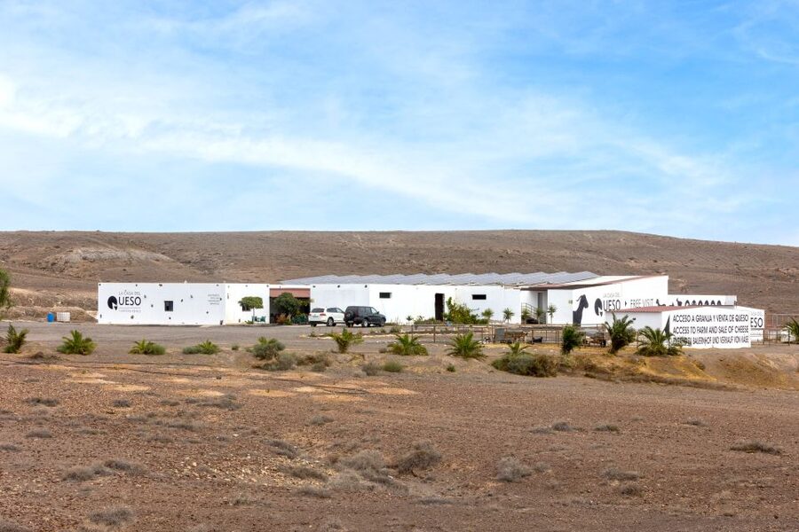 Fuerteventura: Artisan Goat's Cheese Making at Local Farm - Who should choose this farm morning
