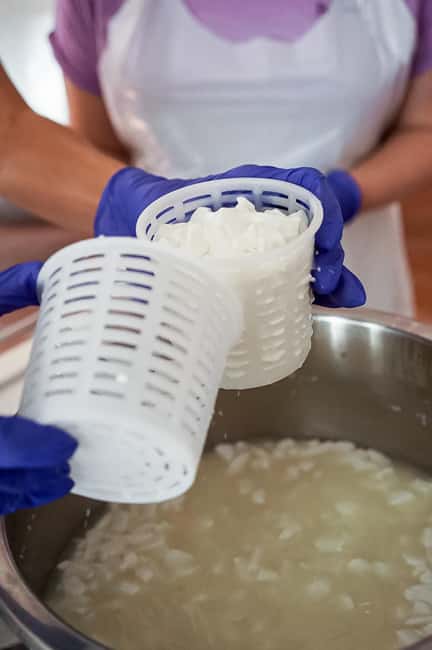 Fuerteventura Goat Cheese Workshop with Transfer from the South - Key points at a glance