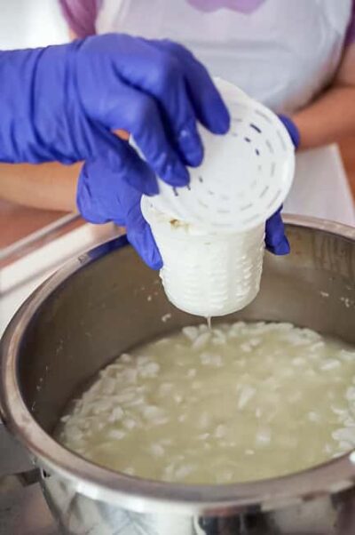 Fuerteventura Goat Cheese Workshop with Transfer from the South