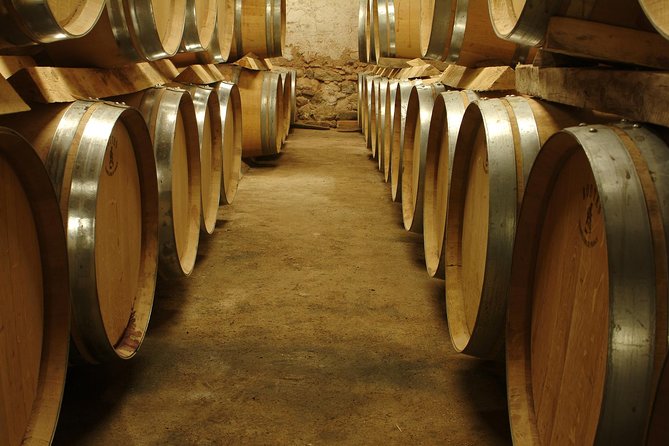 Full-Day Wine and Cheese Tour around Aix-en-Provence from Marseille - A wine day built around variety, not volume