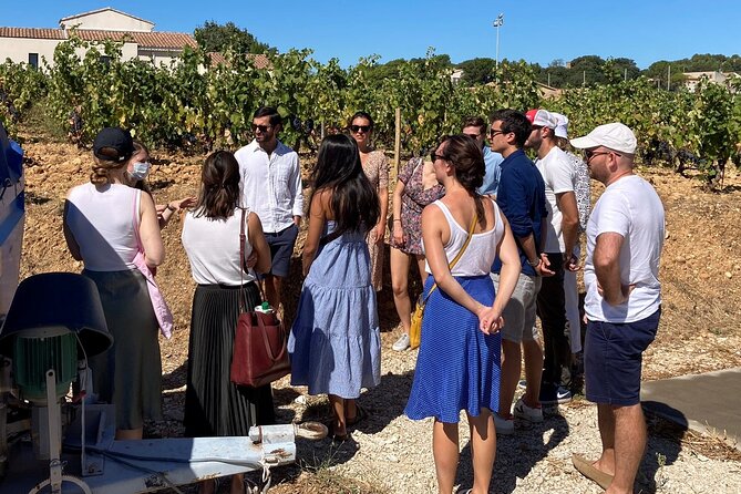 Full-Day Wine and Cheese Tour around Aix-en-Provence from Marseille - The afternoon winery and a broader tasting