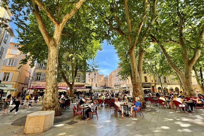 Full-Day Wine and Cheese Tour around Aix-en-Provence from Marseille - What the guide adds to the day