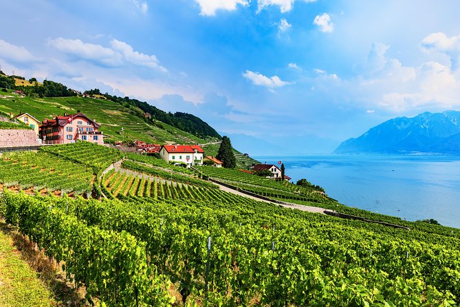 Geneva to Gruyère Private Day Trip. Cheese & Chocolate Tour - The Guide Question: Confirm Language Before You Go