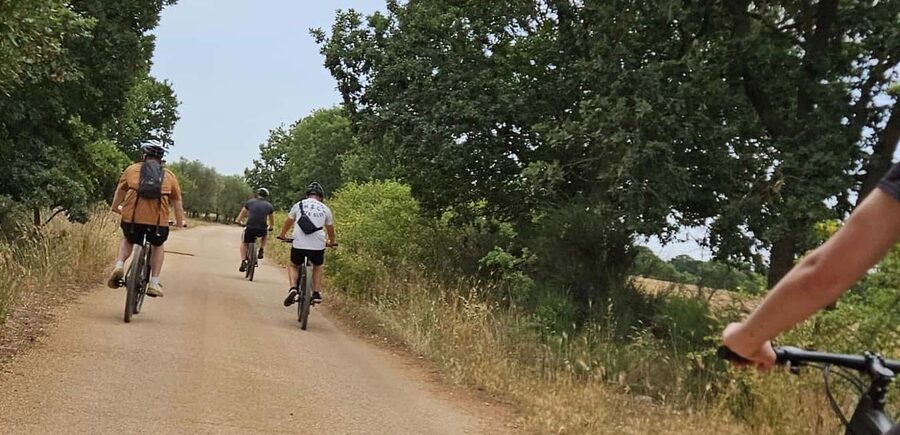 Gioia del Colle: E-Bike Ride & Hands-On Mozzarella Lab - Inside the Working Dairy