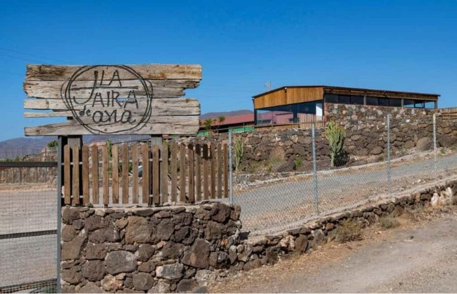 Gran Canaria: Cheese Workshop in Agüimes - Key points at a glance