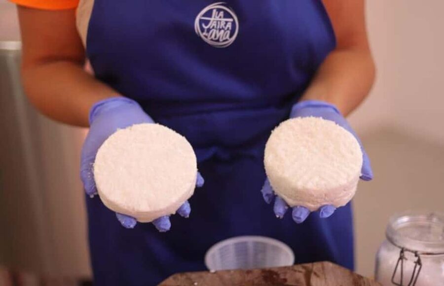 Gran Canaria: Cheese Workshop in Agüimes - From milk to curds: the 1.5-hour workshop
