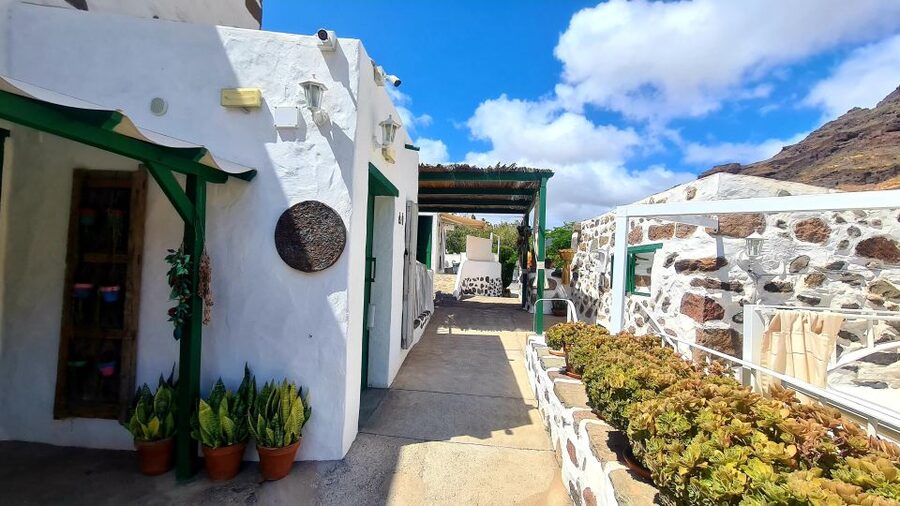 Gran Canaria: Tasting wine & local cheese in Mogan - Canarian cheese with bread and sauces