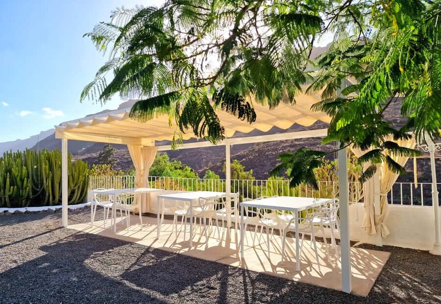 Gran Canaria: Tasting wine & local cheese in Mogan - Who will enjoy this Mogan experience most