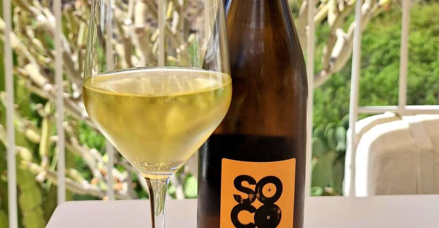 Gran Canaria: Tasting wine & local cheese in Mogan - Accessibility and booking flexibility