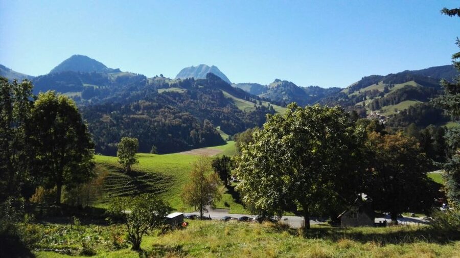 Gruyères, Cheese and Chocolate: Private Tour - Should you book the Gruyères private tour?