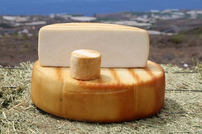 Guided Tour Montesdeoca Cheese Factory - Cheese and Wine Tasting - Watching goats, milk, and handmade cheese