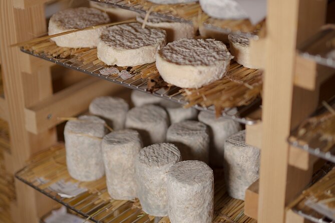 Guided visit of the Cheese Museum with Tasting Included - Inside the museum: from dairy tradition to artisan technique