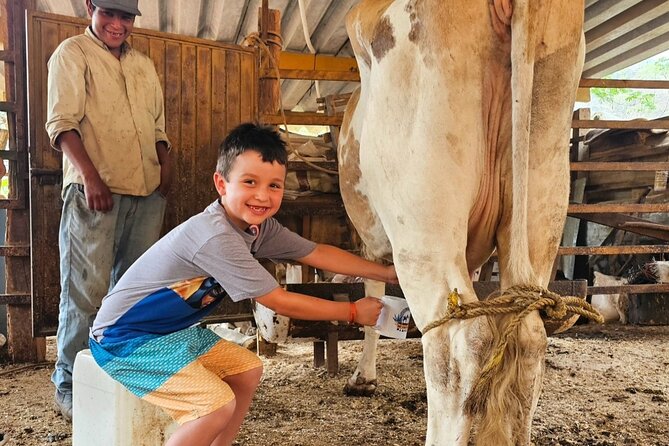 Hands-on Mexican Farm Experience: from Cow to Cheese - Picking fruit from tropical trees