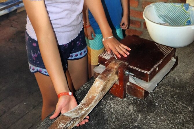 Hands-on Mexican Farm Experience: from Cow to Cheese - Turning milk into artisanal cheese