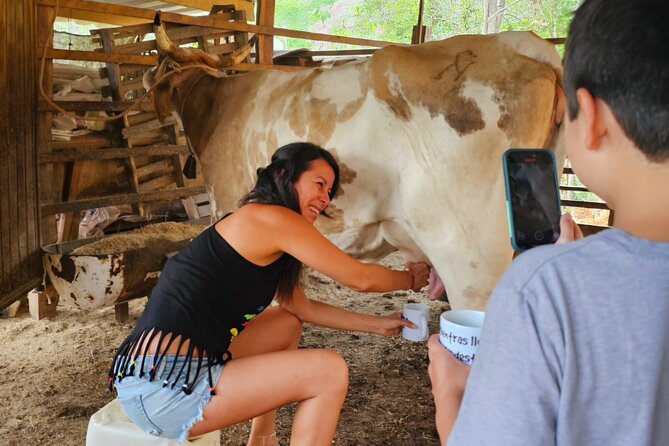Hands-on Mexican Farm Experience: from Cow to Cheese - Cooling off in the natural pools