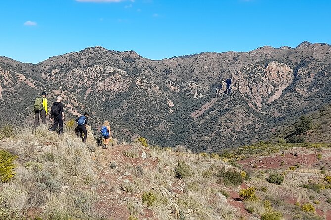 Hike the Cork Oak trail and try some Delicious Cheese - From Valencia’s Serranos Towers to Almedíjar