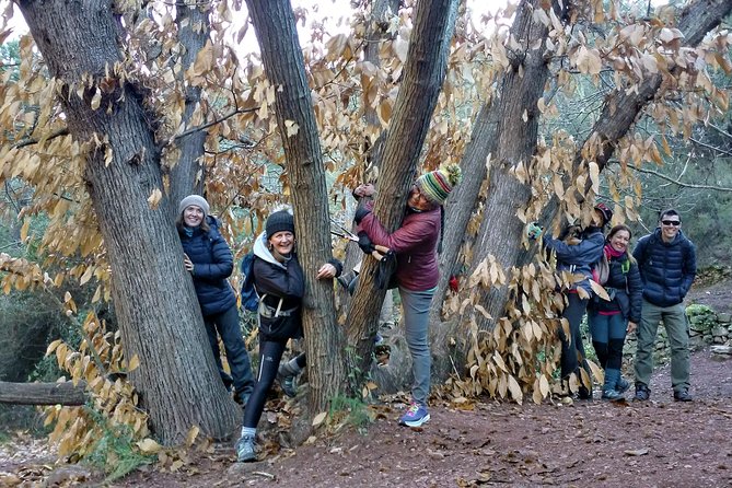 Hike the Cork Oak trail and try some Delicious Cheese - What the $53 price includes
