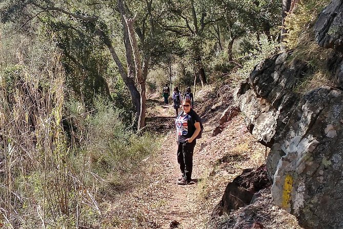 Hike the Cork Oak trail and try some Delicious Cheese - Is Sierra Espadán worth a half-day from Valencia?