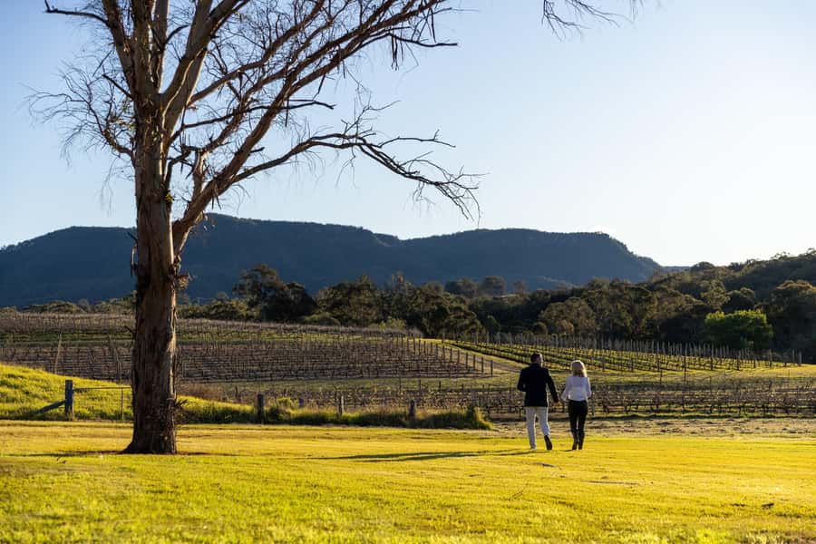 Hunter Valley: Wine and Cheese Tasting - Adding lunch or dinner at Hunters Quarter