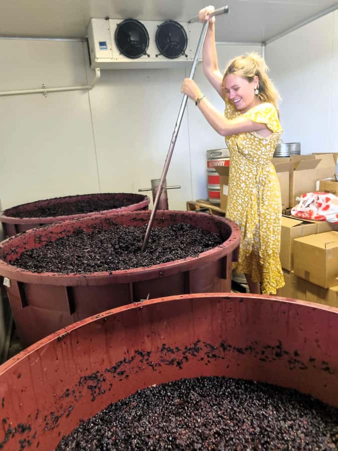Hunter Valley: Wine, Gin, Cheese and Chocolate Tour - Why the guide can make or break the day