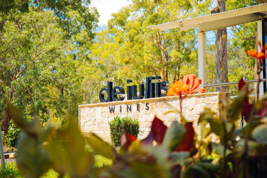 Hunter Valley: Wine, Spirits, and Cheese Tour with Lunch - Who should book this Hunter Valley tour?