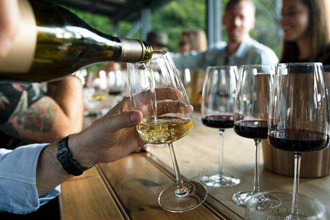Hunter Valley Wine Tour ex Hunter Valley - Lunch, Cheese, Chocolate, Distillery - Transport, guides, and group size