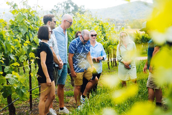 Hunter Valley Wine Tour ex Hunter Valley - Lunch, Cheese, Chocolate, Distillery - Boutique wineries and three different tasting stops