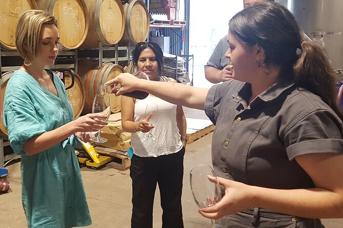 Hunter Valley Wine Tour + Lunch, Gin, Cheese, Choc from Newcastle - What happens at the Hunter Valley wineries