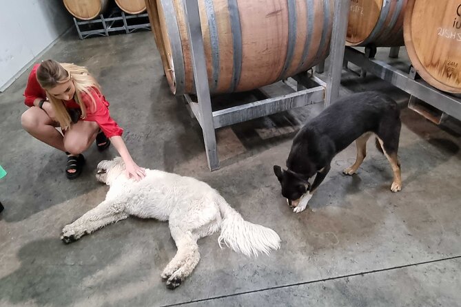 Hunter Valley Wine Tour + Lunch, Gin, Cheese, Choc from Newcastle - Who should book this Hunter Valley day?