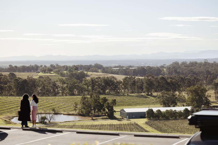 Hunter Valley: Wine Tour with 2-Course Lunch, Choc & Cheese - Binnorie Dairy and the final cheese tasting