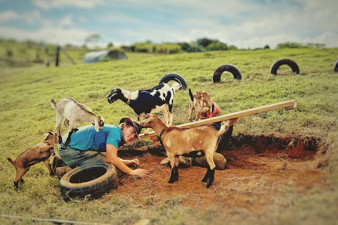 Kauai Private Baby Farm Animal Experience & Micro Dairy Immersion - Key points to know before you book