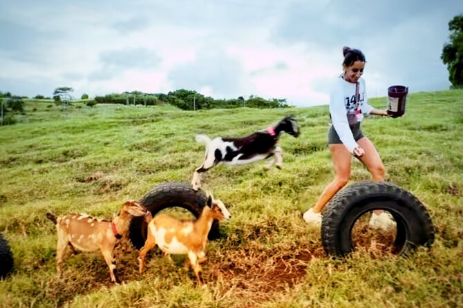 Kauai Private Baby Farm Animal Experience & Micro Dairy Immersion - Baby goats, lambs, and the animals you meet