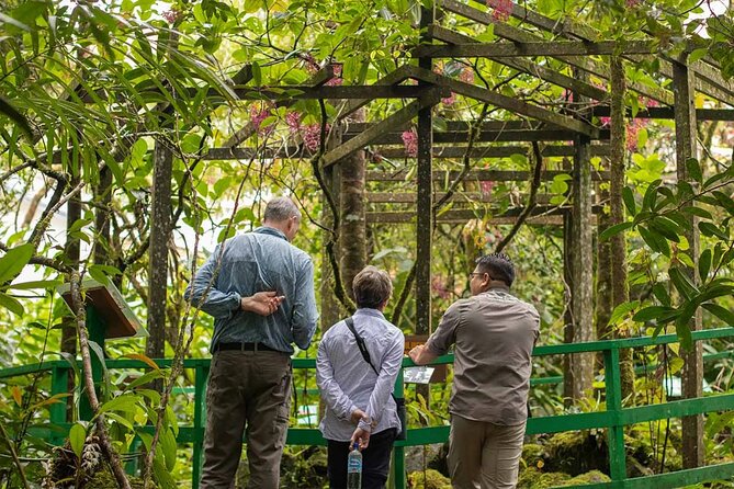 Kinabalu Park & Poring Hot Springs Tour with Desa Dairy Farm - A quick stop at Nabalu Fruit Market