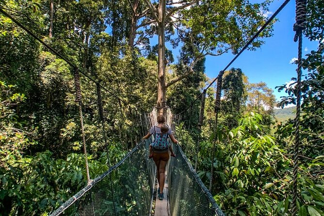 Kinabalu Park & Poring Hot Springs Tour with Desa Dairy Farm - Poring Hot Springs: a short soak with a Japanese feel
