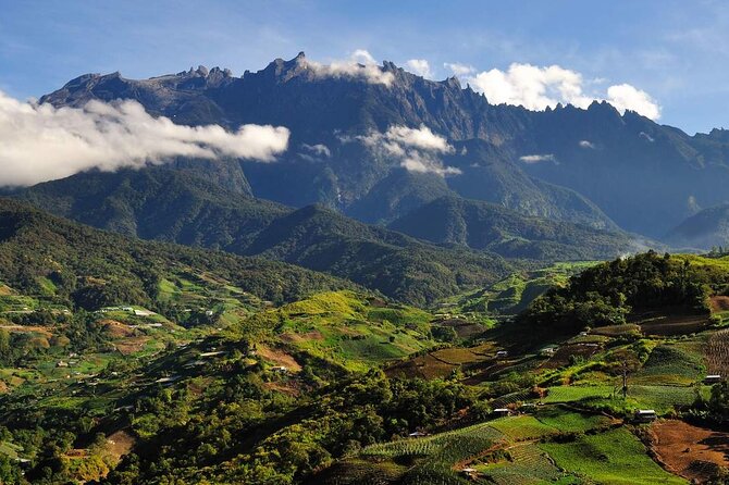 Kinabalu Park & Poring Hot Springs Tour with Desa Dairy Farm - The 7:30 morning departure from Kota Kinabalu