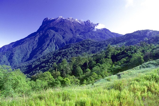 Kinabalu Park Tour with Desa Dairy Farm & Poring Hot Springs - Poring Hot Springs and the 200-foot canopy walkway