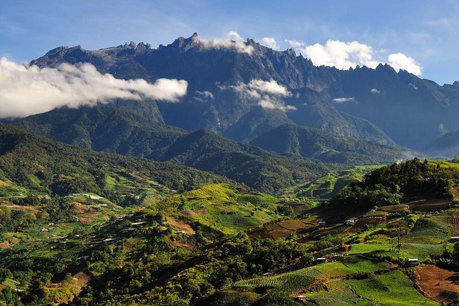 Kinabalu Park Tour with Desa Dairy Farm & Poring Hot Springs - Kinabalu Park, plants, and mountain country