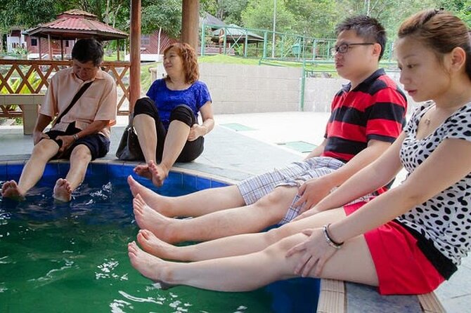Kinabalu Park Tour with Desa Dairy Farm & Poring Hot Springs - Lunch and the value of the $124.82 price