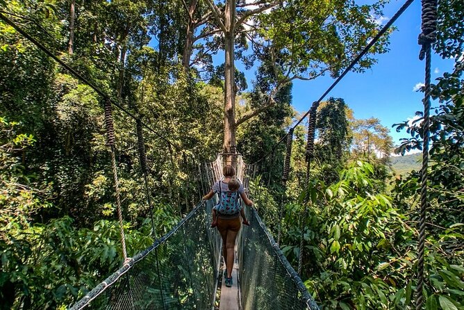 Kinabalu Park Tour with Desa Dairy Farm & Poring Hot Springs - Nabalu Market and the first mountain views
