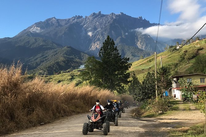 Kota Kinabalu ATV Riding and Dairy Farm at Mountain Kinabalu - What to expect at the dairy farm
