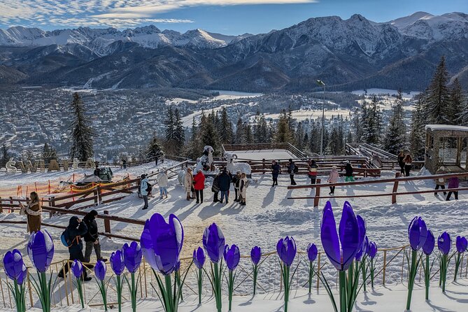 Krakow Zakopane Cable Car Vodka Cheese and Hot Springs Tour - What the $111.58 price includes